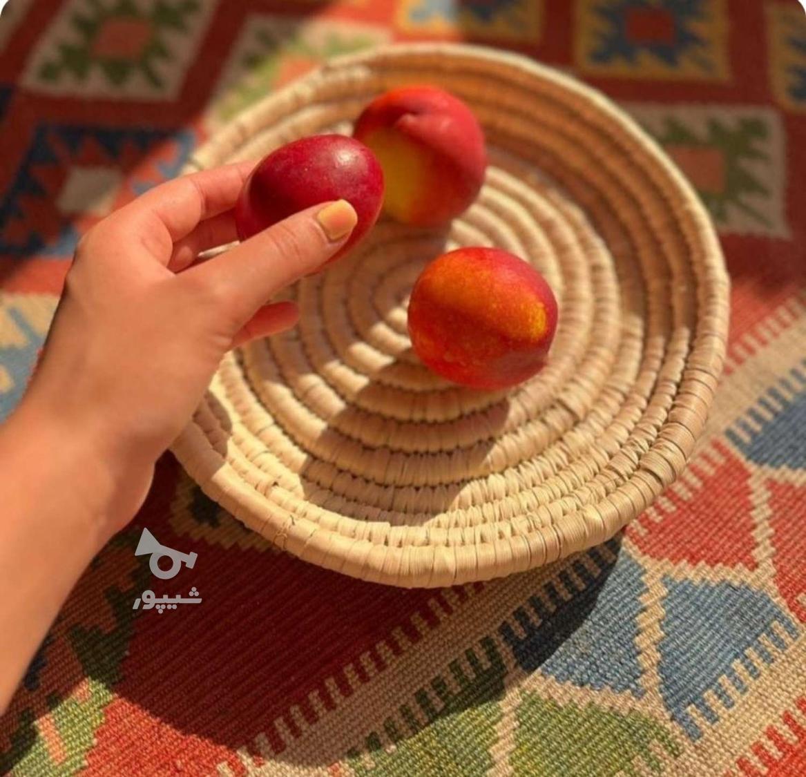 محصولات حصیری