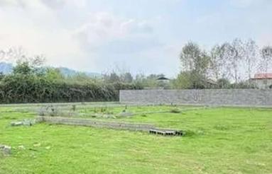 فروش زمین 500 متری جاده وسطی کلا(آزادراه جدید)