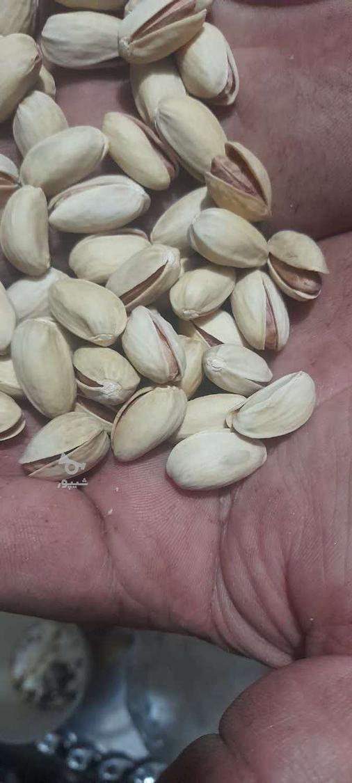 فروش پسته اعلا