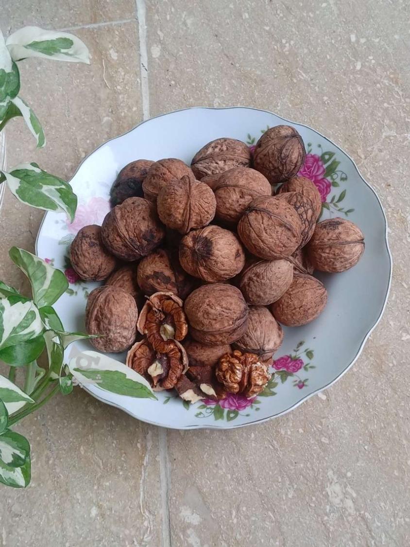 گردو مخصوص بندپی پارساله