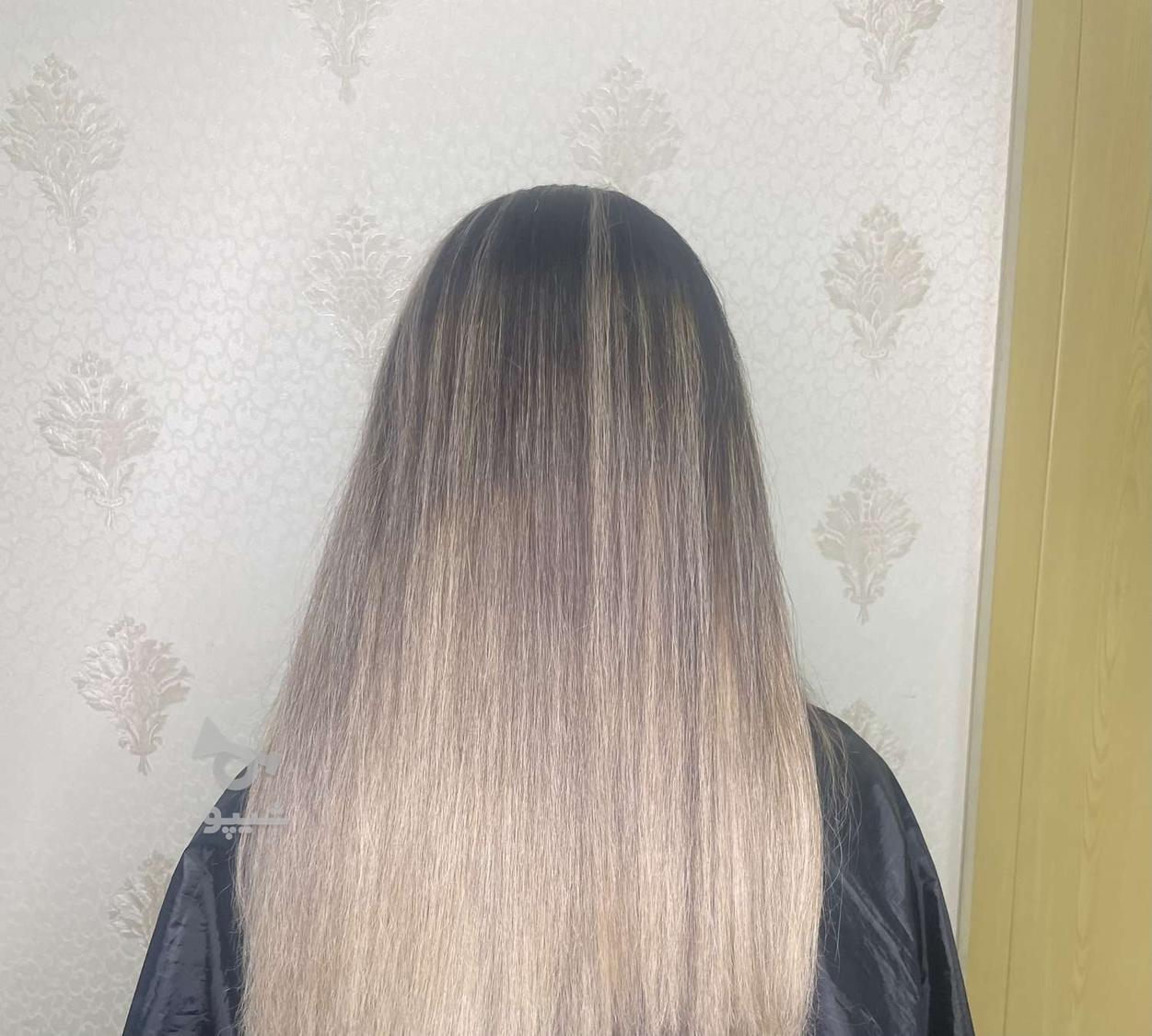 رنگ و مش و کوتاهی تخصصی