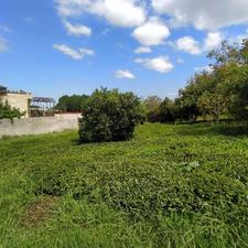 فروش زمین 288 متر در لیالستان