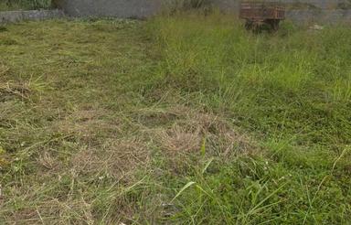 فروش زمین مسکونی 400 متر در سید محله