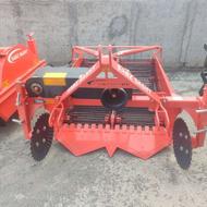 سیب زمینی کن سبز دشت