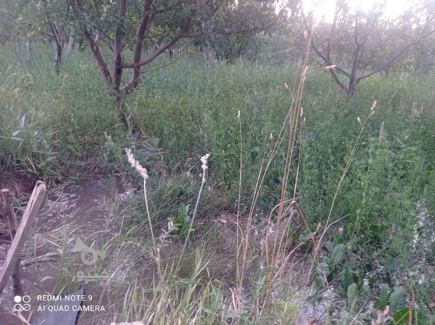 یونجه چین سوم متراژ4200