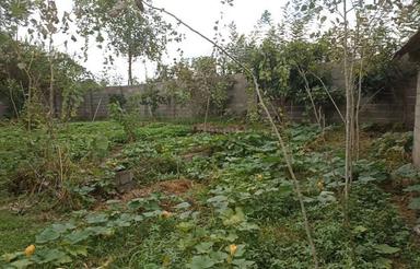 فروش ویلا 3400 متر در کنارسر