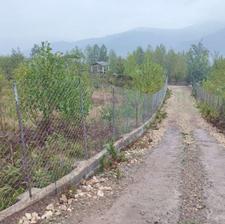 فروش زمین جنگلی 900 متر در امره