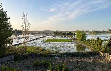 1000 متر زمین و باغ