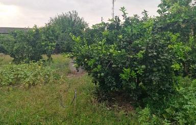 زمین مسکونی 900 متری در کلاگرکلا