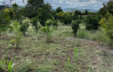 زمین 1300 متری بر جاده اصلی (آب بندان کش ساری)