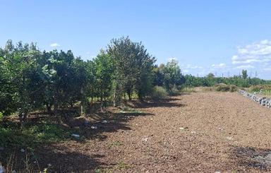 فروش زمین مسکونی 400 متر در ذغال چال