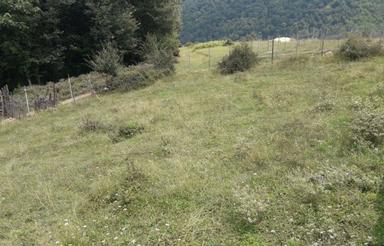 فروش زمین مسکونی 400 متر در پاچی