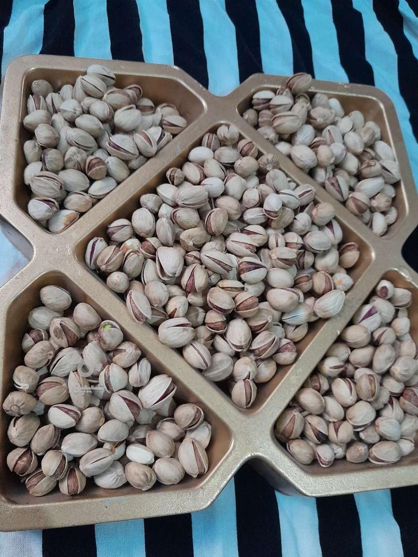 پسته خندان امسالی