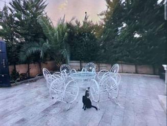 ویلا دوبلکس سند دار 215 متری مبله جنگلی