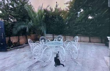 ویلا دوبلکس سند دار 215 متری مبله جنگلی