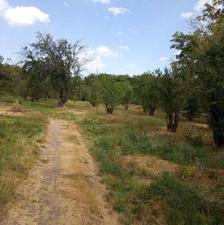 باغ 17من،در توریستی نوا سهند3/با موقعیت ویلایی