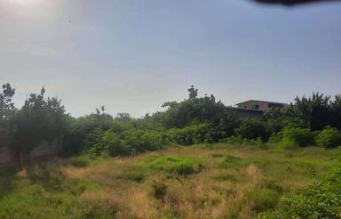 زمین مسکونی 620 متر در مرکز شهر