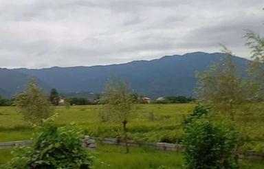 زمین1200متری با بنا قدیمی در مالفجان سیاهکل