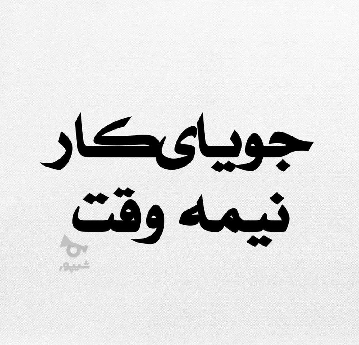 جویای کار نیمه وقت هستم. - قاسمی