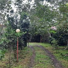 فروش ویلا 800 متر در شفارود