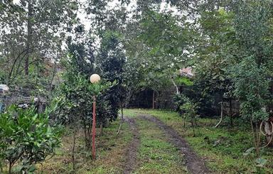 فروش ویلا 800 متر در شفارود