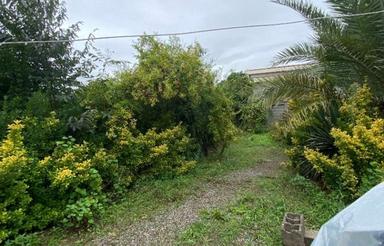 فروش زمین مسکونی 1224 متر در برامسر