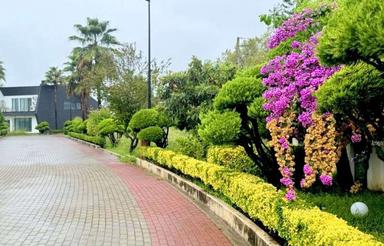 فروش زمین مسکونی 400 متر در سیاهرود/سند 6دانگ