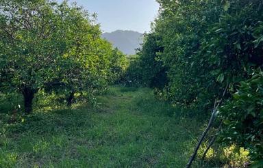 فروش ویلا 120 متر در قاسم آباد علیا