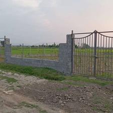 فروش زمین کشاورزی باغ 400 متر در بلوار منفردکمانگرکلا