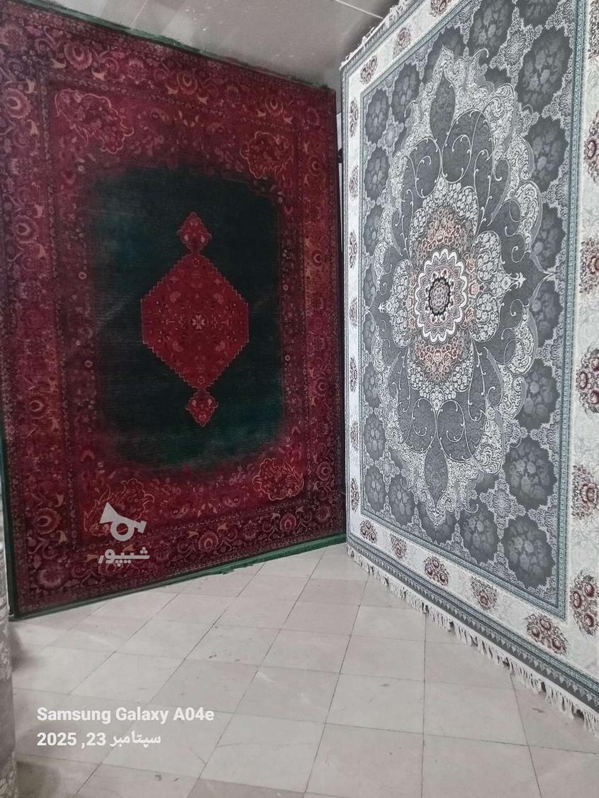 فروشنده فرش با روابط عمومی بسیار قوی - محمداسدی