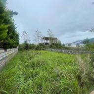 فروش ویژه زمین 300 متر در نوشهر/ویو عالی جنگل با دسترسی عالی