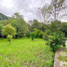 فروش زمین مسکونی 501 متر در نوشهر با سند تک برگ و جوازساخت