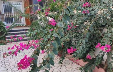 فروش ویلا 200 متری سند دار نوساز سرخرود