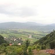 کلبه ویلایی لفور دل جنگل