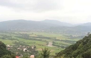 کلبه ویلایی لفور دل جنگل