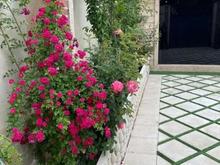 فروش ویلا 300 متر استخر دار در شیپور