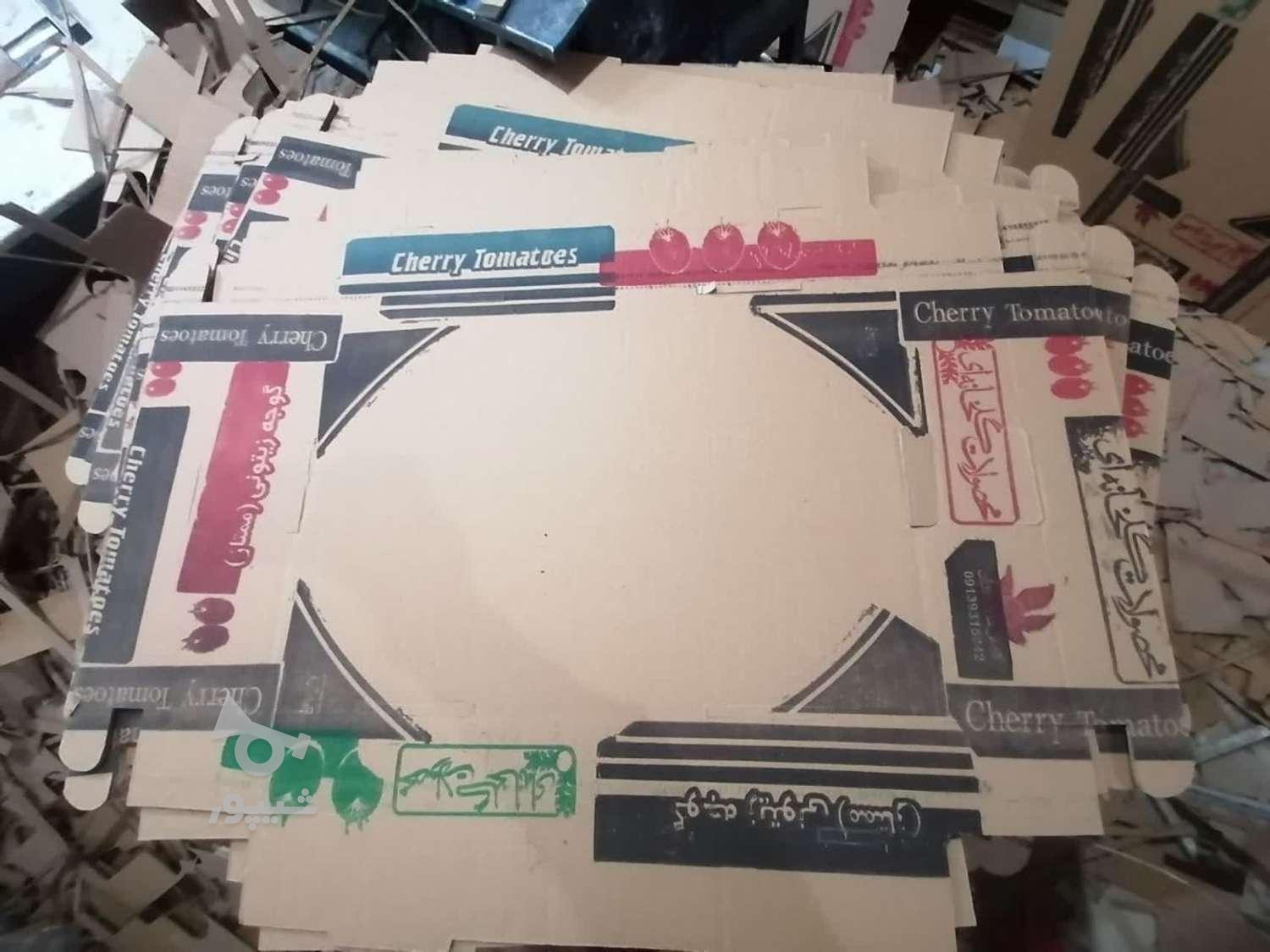 شریک و سرمایه گذار