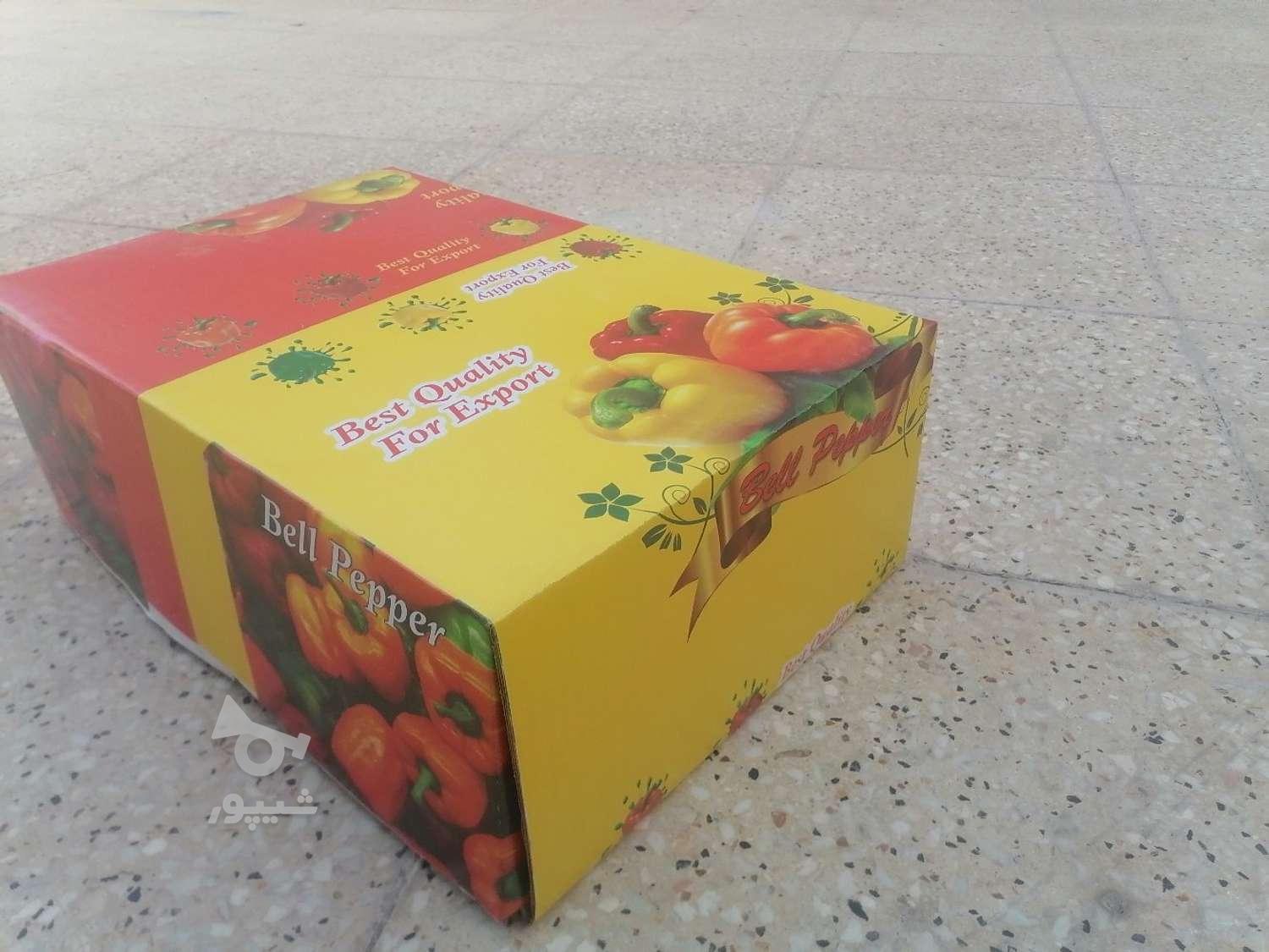 شریک و سرمایه گذار