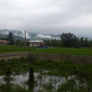 نیازمند خانم پرستار بصورت شبانه روزی