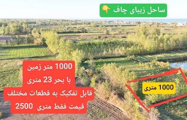 فروش زمین کشاورزی 1000 متر در ساحلی