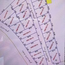 فروش زمین کشاورزی 163 متر در ساحلی