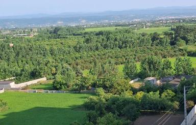 فروش باغ 5600 متر،سند دار ،در ورندان