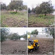 شخم زنی علفتراشی