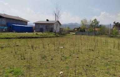 زمین600متری قابل تفکیک در کوه کریم تالش