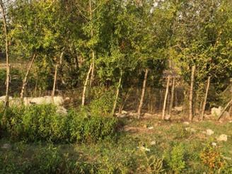 زمین مسکونی 350 متری سنددار در خرطوم