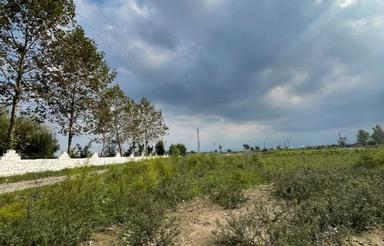 فروش زمین اقساطی 150 متری مازندران کاسب محله