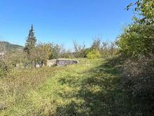 فروش زمین جنگلی 259 متری در بابلکنار در شیپور