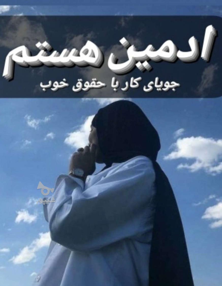 ادمین هستم جویای کار - undefined