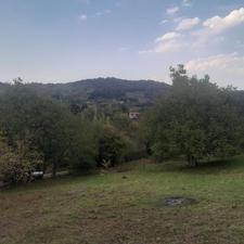 فروش زمین کشاورزی 2300 متر در پایین کولا