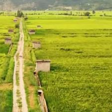 زمین کشاورزی 20000 متر در راهبند